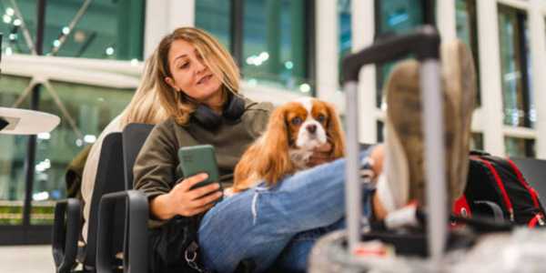 8 Pet-Friendly Airlines to Fly in 2025
